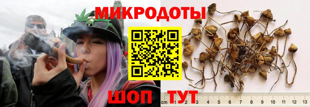 Александров  закладка  Вход с VPN  Псилоцибиновые грибы MAGIC MUSHROOMS 