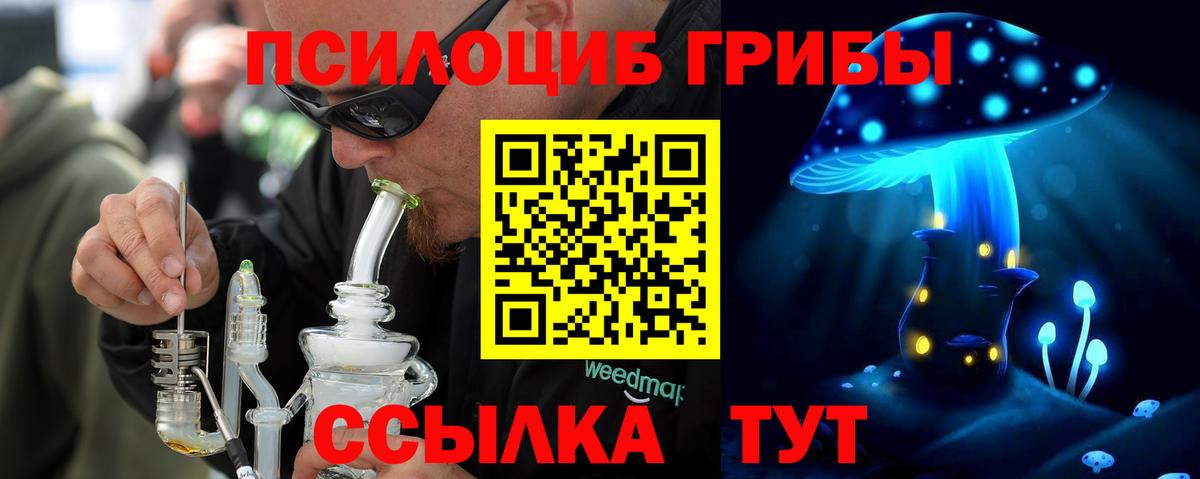 Галлюциногенные грибы Psilocybe Александров
